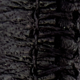 Erin choker necklace