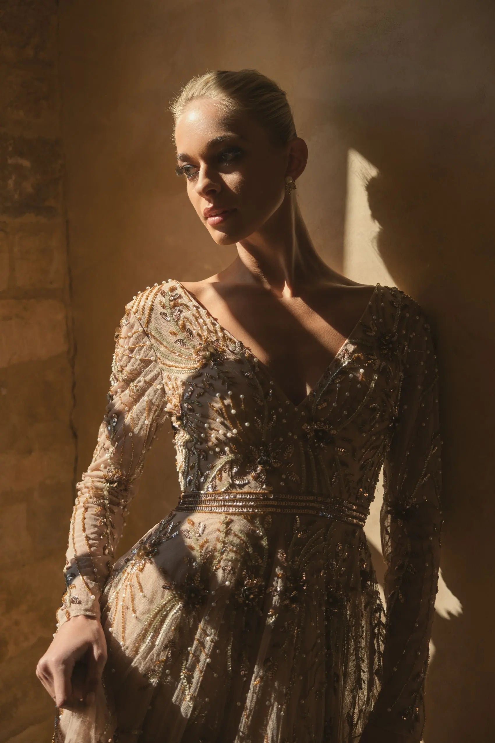 Beige Embellished Sheer Sleeve A-Line Gown