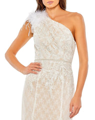 Beige Lace Embellished Feathered One Shoulder Gown
